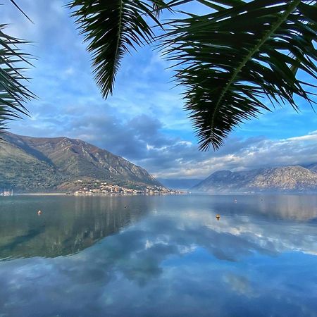 Sunny Bay Apartments Kotor Extérieur photo