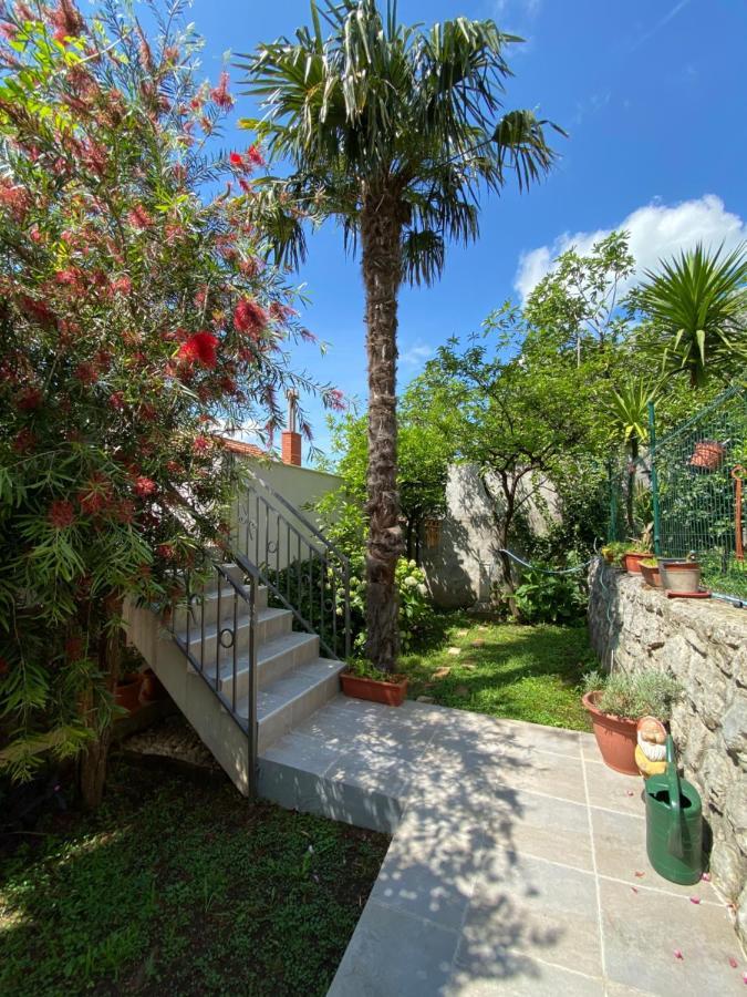 Sunny Bay Apartments Kotor Extérieur photo