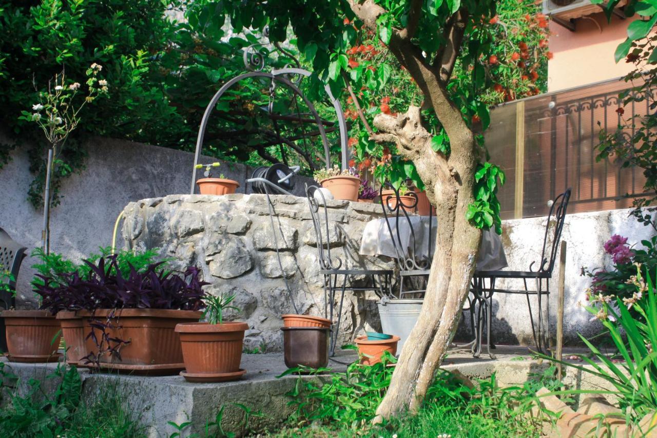 Sunny Bay Apartments Kotor Extérieur photo