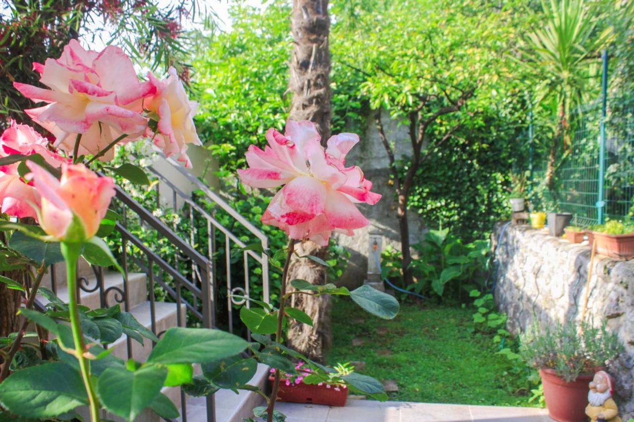 Sunny Bay Apartments Kotor Extérieur photo